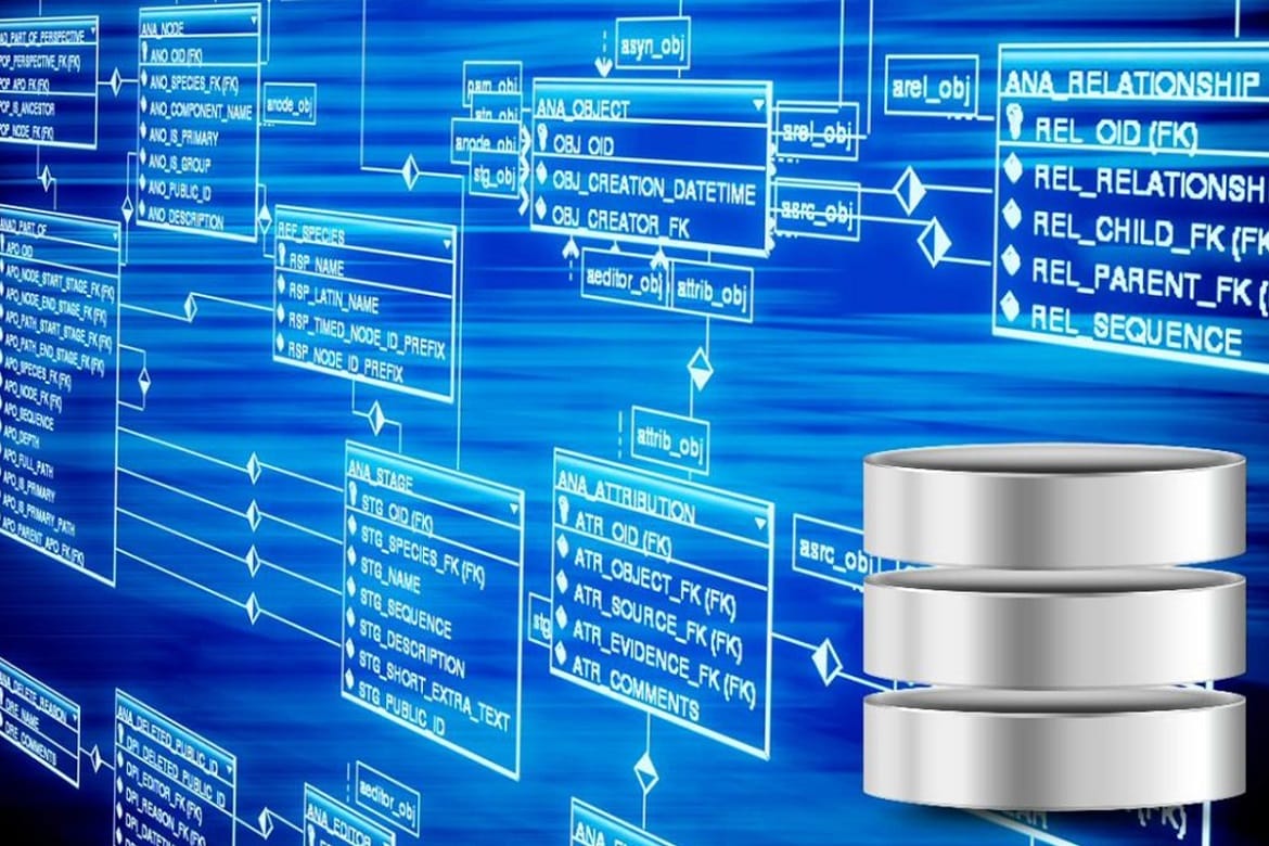 Database là gì,Database